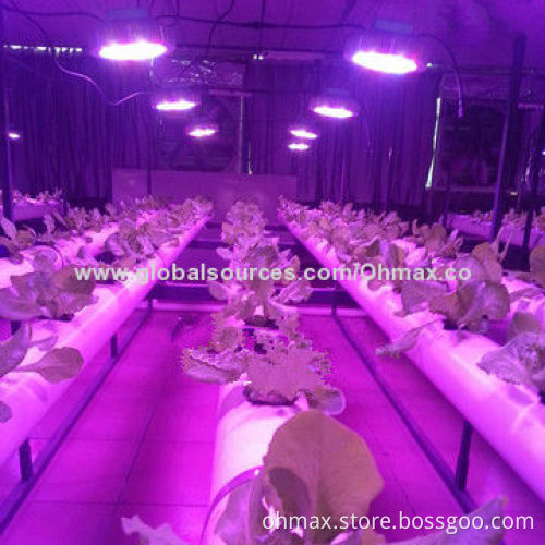 Indoor LED grow light for agriculture, gardening, greenhouse, horticulture, nursery plants growth